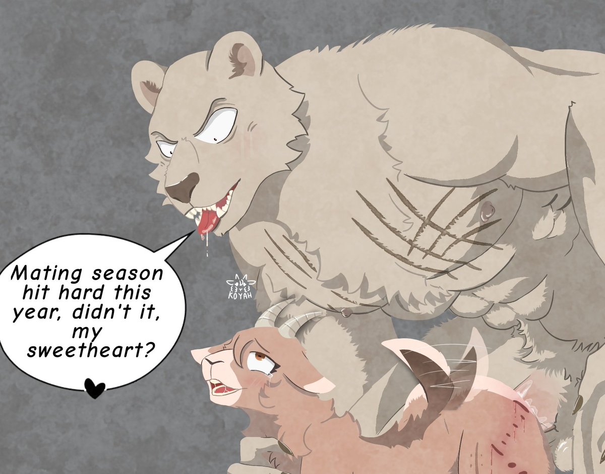 Koyah D'Riz 🐏🐻 tweet media