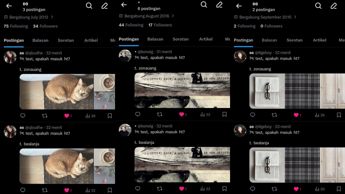 𖦹 tweet media