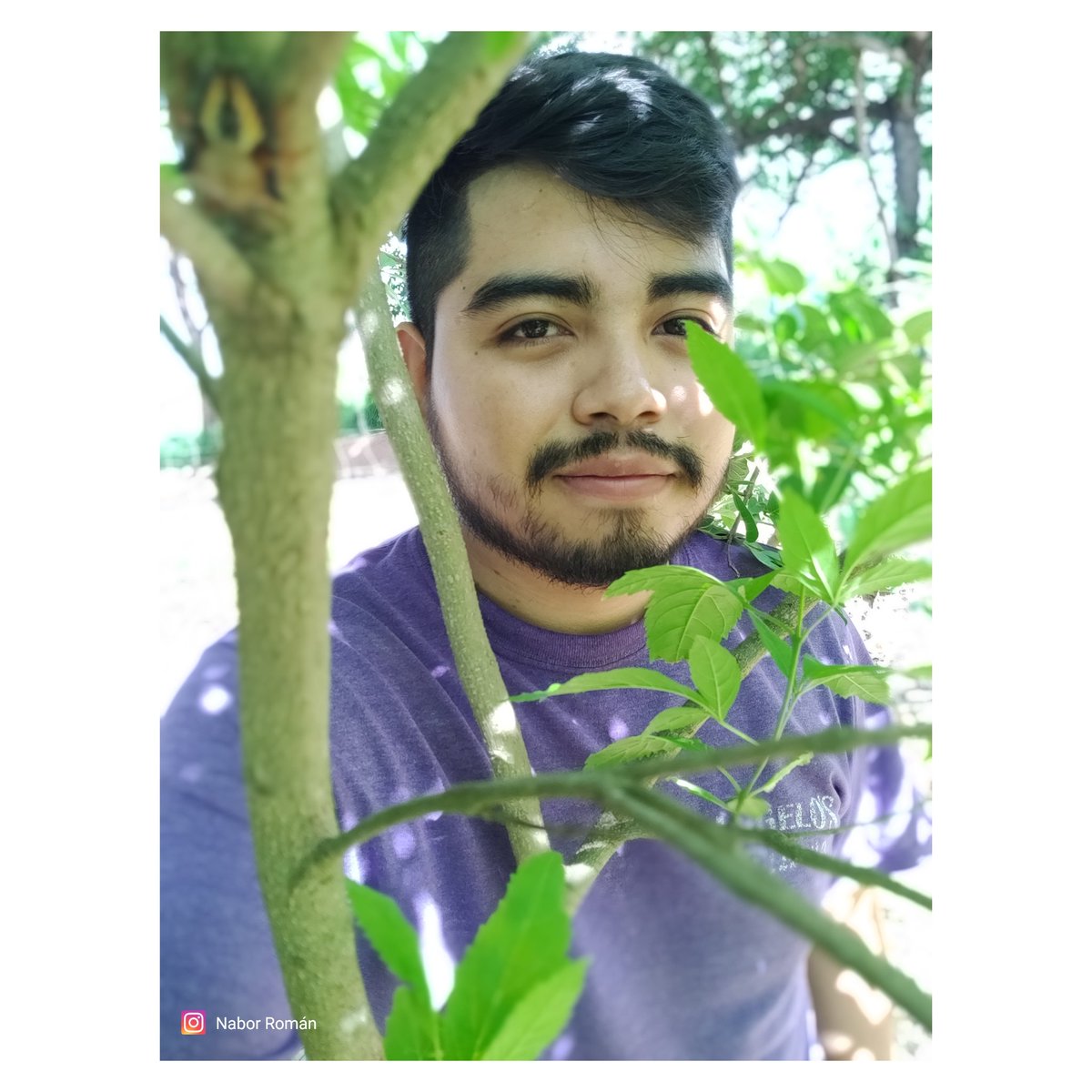 Nabor Román tweet media