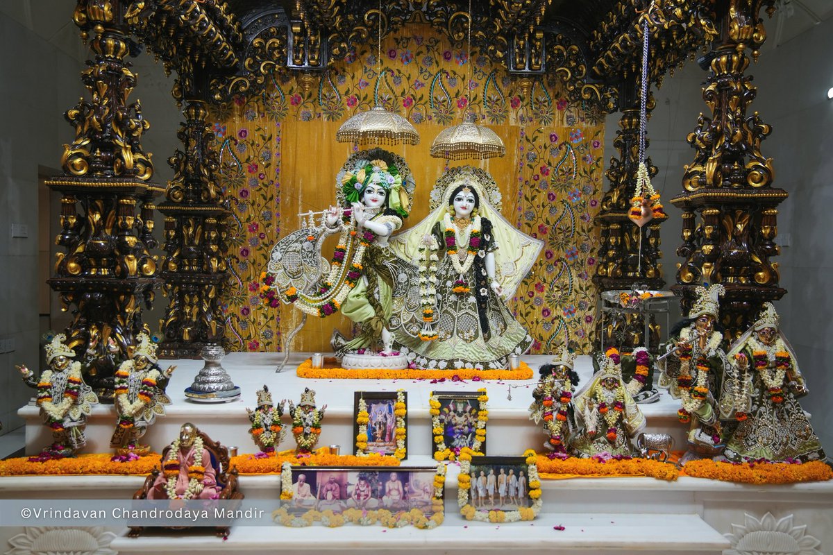 Vrindavan Chandrodaya Mandir tweet media
