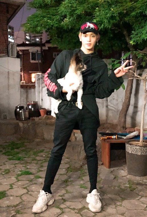 rini 。◕ ̫ ◕。 | 주먹밥냥이 #WYLD tweet media