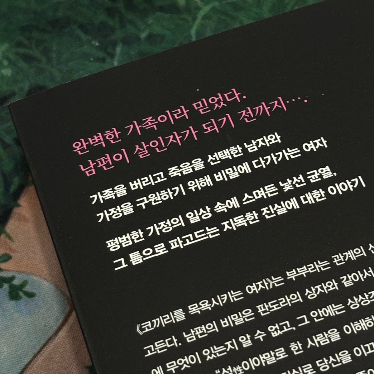 몽카 tweet media