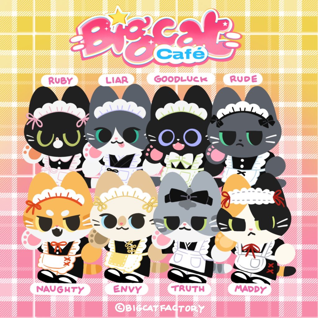 ִ ࣪𖤐 🐈‍⬛Bigcat🍎ปั่นงาน tweet media