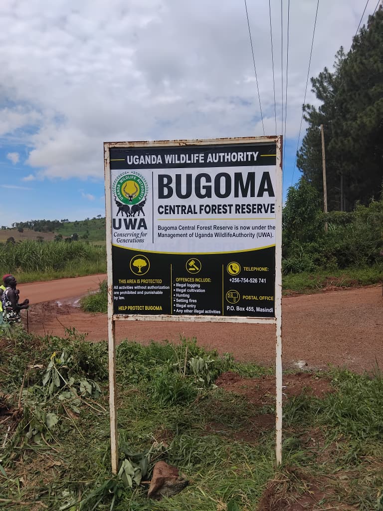 bashirhangi's tweet photo. Bugoma Central Forest Reserve is under protection and management of Uganda Wildlife Authority 
Prohibited activities include:
• Unauthorized entry
• Tree cutting
• Charcoal burning
• Encroachment
• Hunting and trapping of wildlife
• Setting fires
• Grazing livestock
• Mining and stone quarrying
• Dumping waste
• Any other unauthorized activities
@ugwildlife