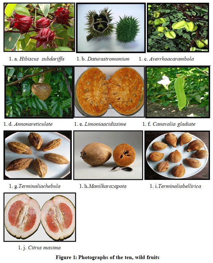 Orienjchem's tweet photo. Phytochemical, Antioxidant, Antimicrobial Analysis of Certain Ethno Medicinal, Wild Fruits of Tripura State, India.

Read the Article here: https://t.co/Pz9f7nL8kl

#Ascorbicacid #Antimicrobialactivity #Medicinalplants #Tripurabiodiversity #chemistry #biochemistry @iutripura https://t.co/bqQXbq4aJo