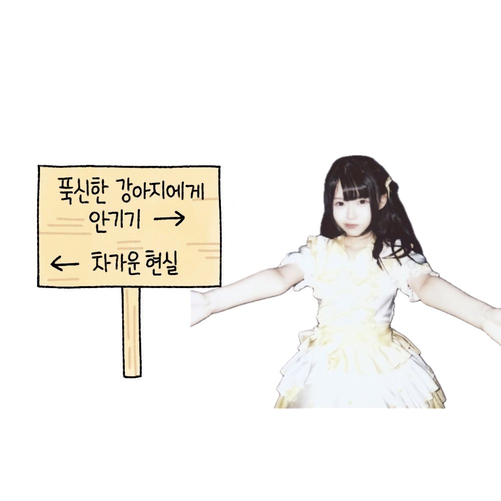 땨 tweet media