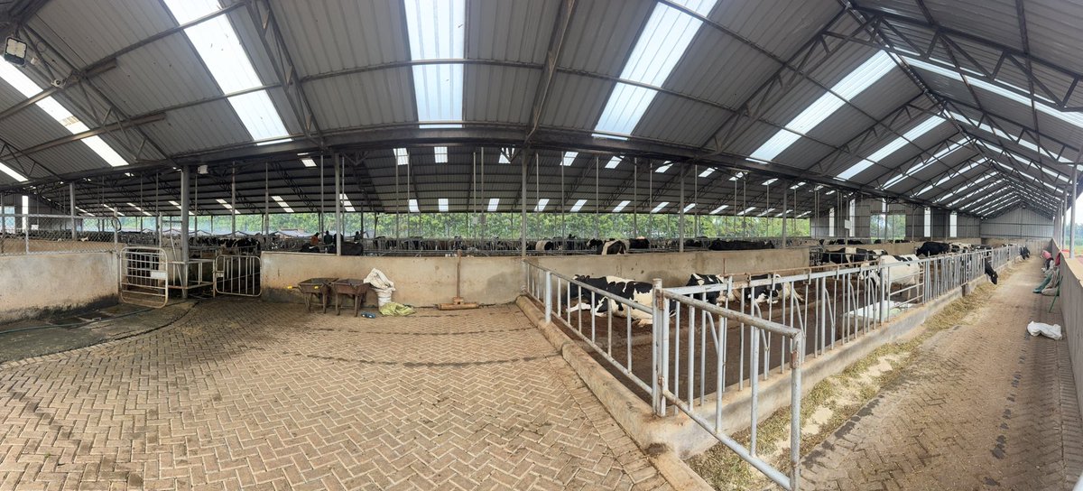 Kevinkirwa_'s tweet photo. Farming na zaidi. Elephant Farm 🐘.
@UkulimaSpace https://t.co/DtvIW72E8I