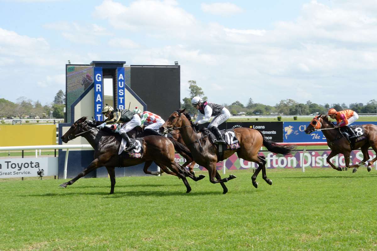 Racing NSW tweet media