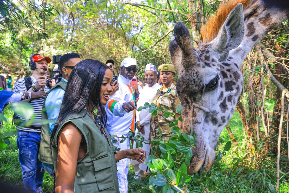 magicalkenya's tweet photo. Performing artists attending the Africa Forward Summit got to experience Kenya’s wild side at the Safari Walk in Nairobi National Park. 🌿🦒 https://t.co/rSd0BlzGWb