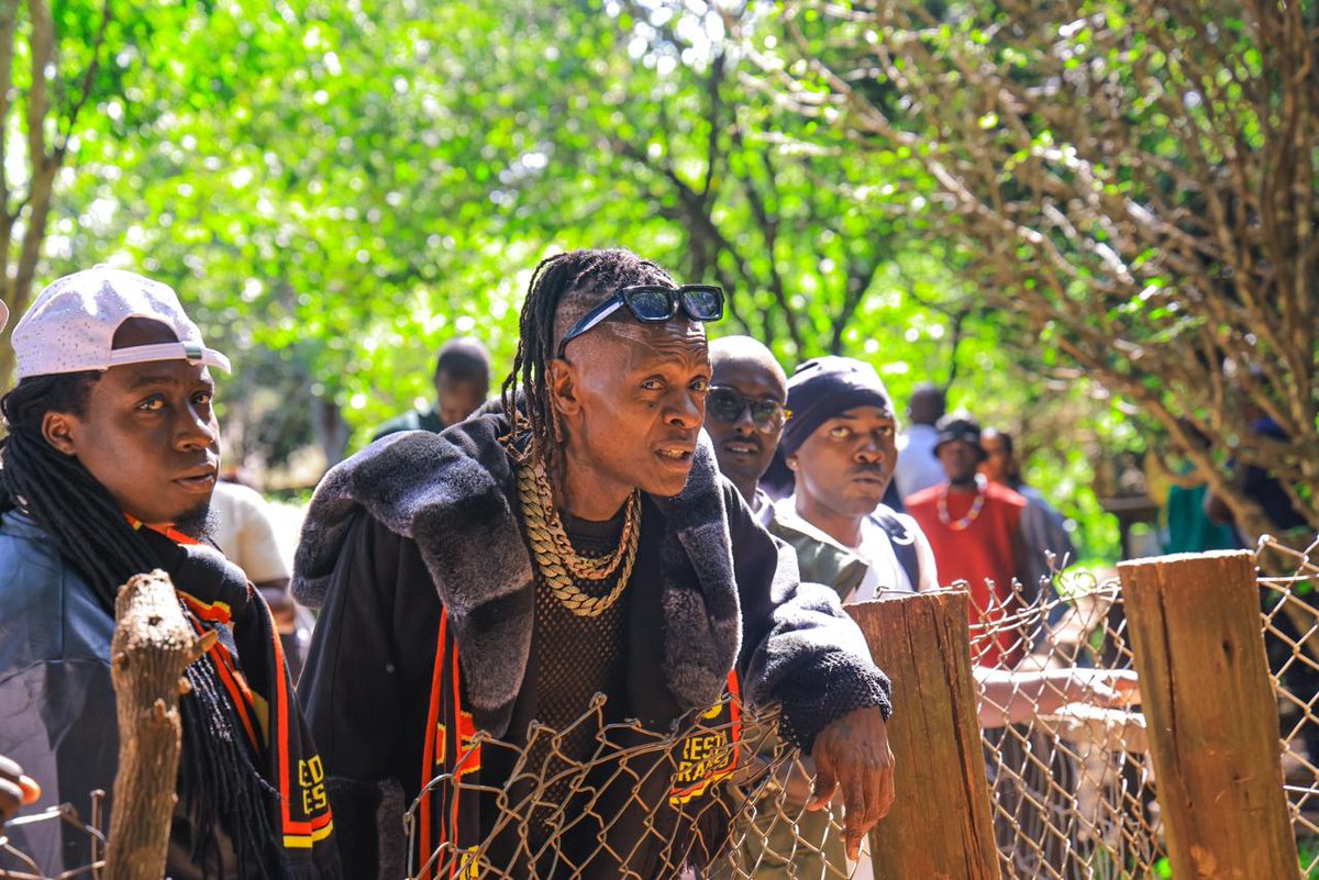 magicalkenya's tweet photo. Performing artists attending the Africa Forward Summit got to experience Kenya’s wild side at the Safari Walk in Nairobi National Park. 🌿🦒 https://t.co/rSd0BlzGWb