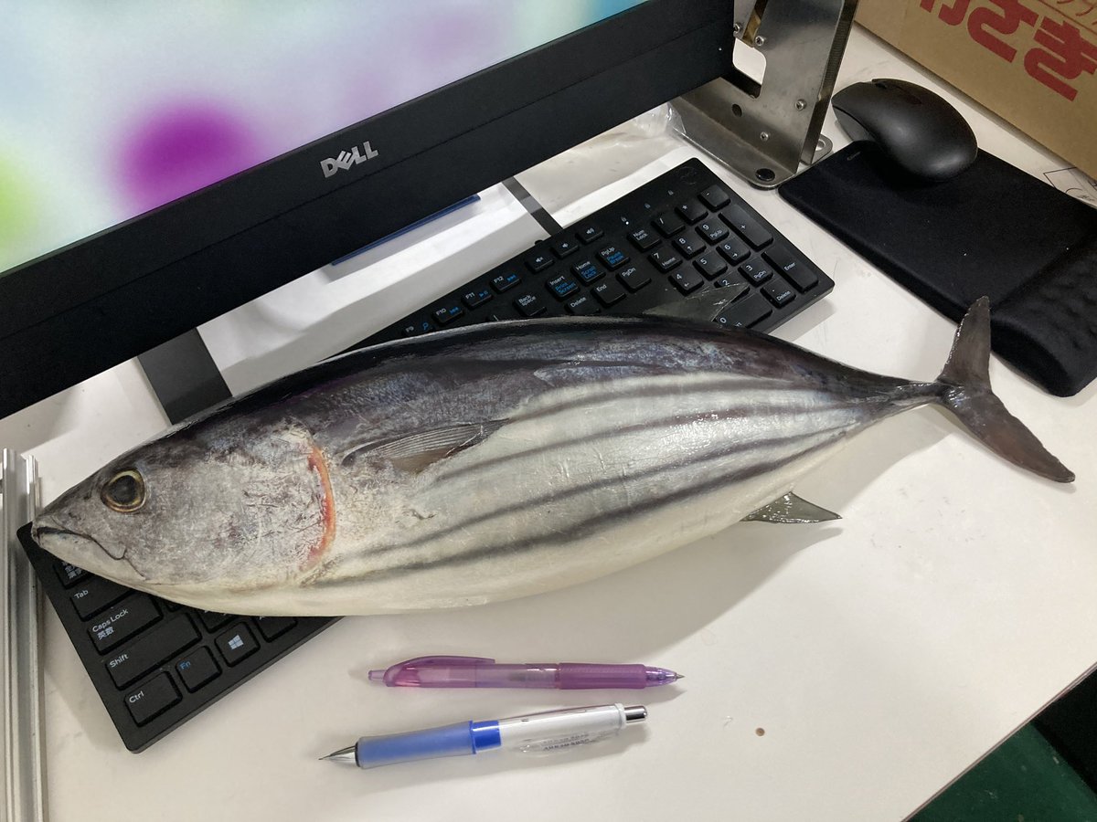 株式会社いわさき_食品サンプル tweet media