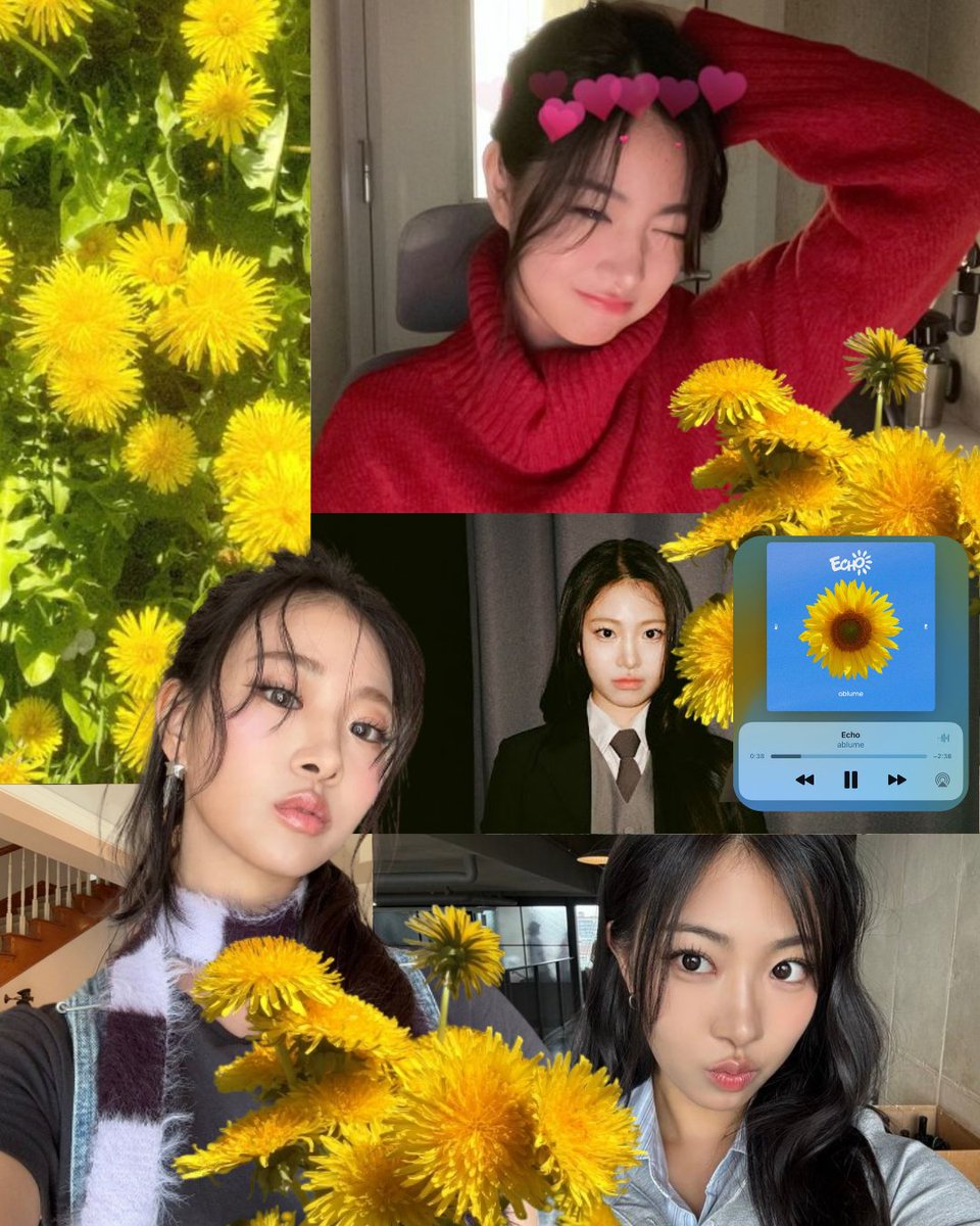 Aran — Dandelion 

“Happiness,” “hope,” and “a person who receives love.” – The dandelion symbolizes indomitable will and perseverance because it adapts well to various environments and grows strongly anywhere. 

#ablume #어블룸 #Aran
