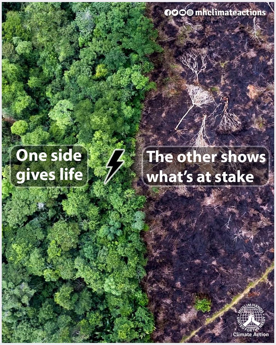 MH ClimateActions tweet media