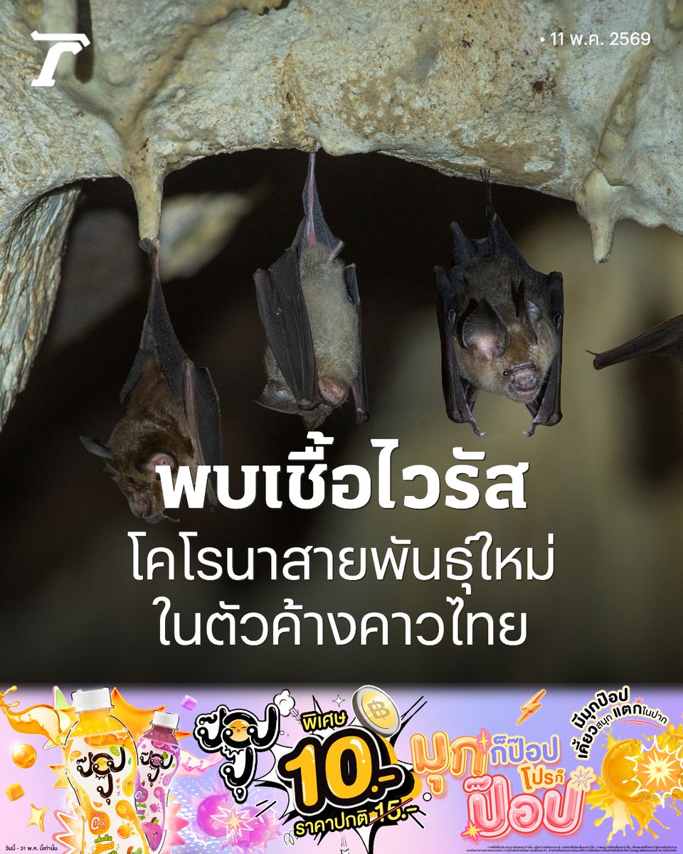 Thairath_News tweet media