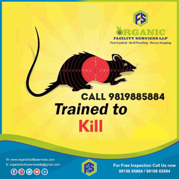 LlpOrganic's tweet photo. Rodent Control Service in Kandivali for Preventing Hidden Entry and  ..For more info visit...https://t.co/WFwruxdRMe https://t.co/RJ5q63hFyP