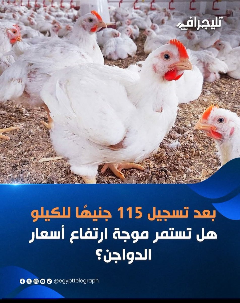 جمال مبارك رئيساً للجمهورية ( ارحل يا سيسي ) tweet media