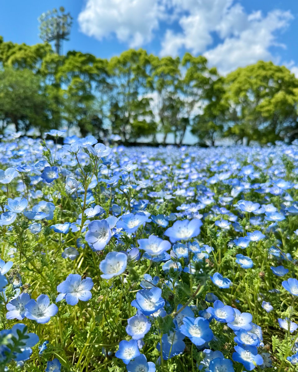 華｜株式会社BeBlock広報採用🌺 tweet media
