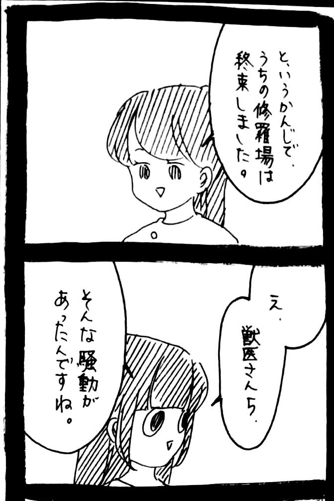 うさぎのみみちゃん　集合　原画（大）ポストカード5枚付き 59072-533-