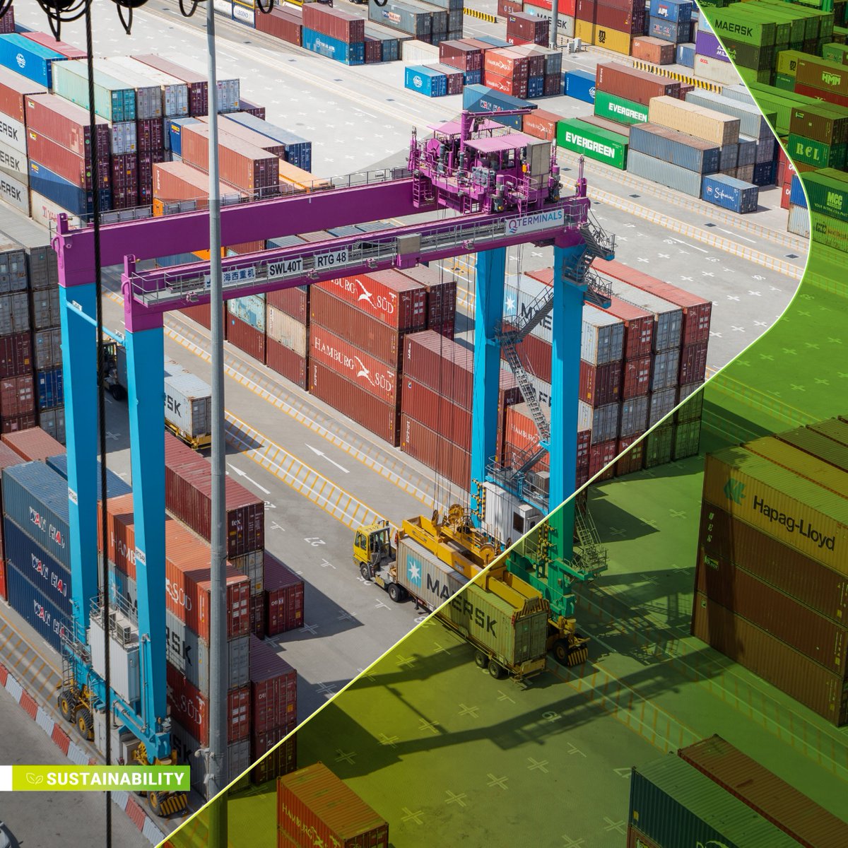 QTerminals tweet media