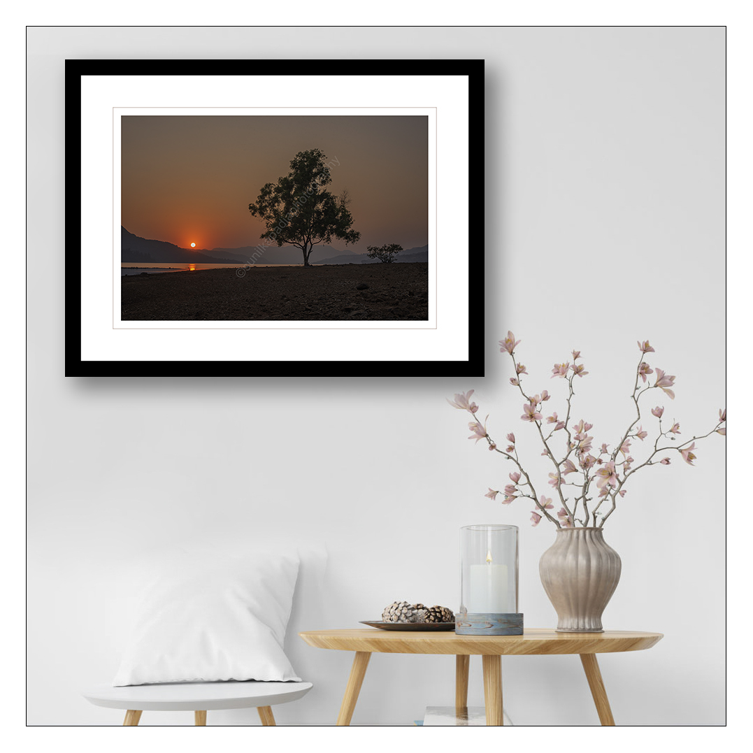 SunilKapadia19's tweet photo. _SSK4359 Overlooking The Lake and The Sunset
Purchase this Photo Art Print
#overlooking #lake #sunset #water #mountains #landscape #landscapephotography #huge #tree #color #colorphotoragphy #colorlandscapephotography #atmophere #serene #tranquil #Mulshi #Pune #Maharashtra #India https://t.co/S59Oj4345j