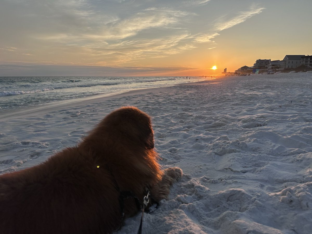 rbs301's tweet photo. @spann Sunset in Seagrove Beach Tonight #30a #sunset #Emeraldcoast https://t.co/WDYfjRfAoh