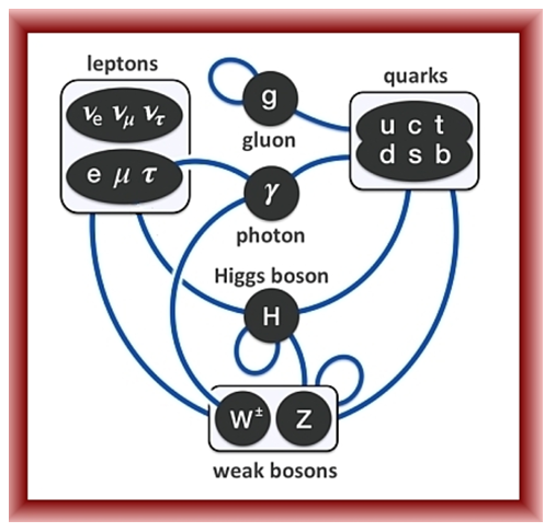 Scilight Science tweet media