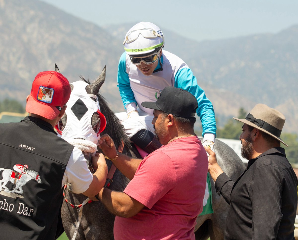 Thoroughbred Owners of California tweet media