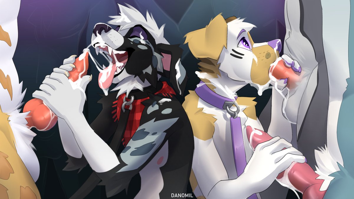 World of YIFF tweet media