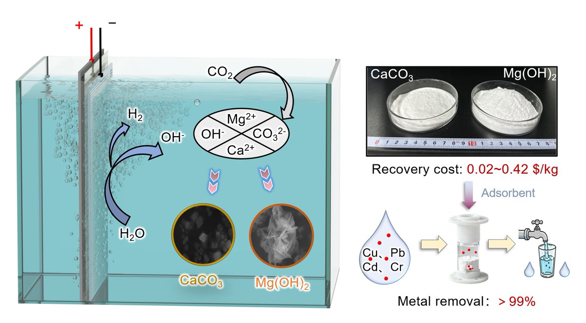 Scilight Science tweet media