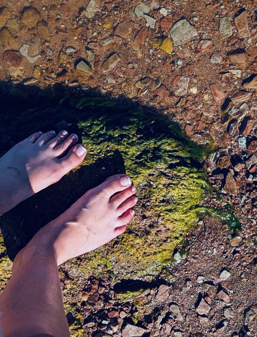 KissMyArchbabe1's tweet photo. Sun on my skin, cold water at my feet, and not a single urgent thought in sight ☀️🌿

#LakeDay #BarefootVibes #feetfinder #NatureTherapy #WeekendEnergy #TouchGrass #SunnyDays #PeacefulMoments #OutsideLife #RelaxMode #Frenchtips https://t.co/rrfEW1CWiB