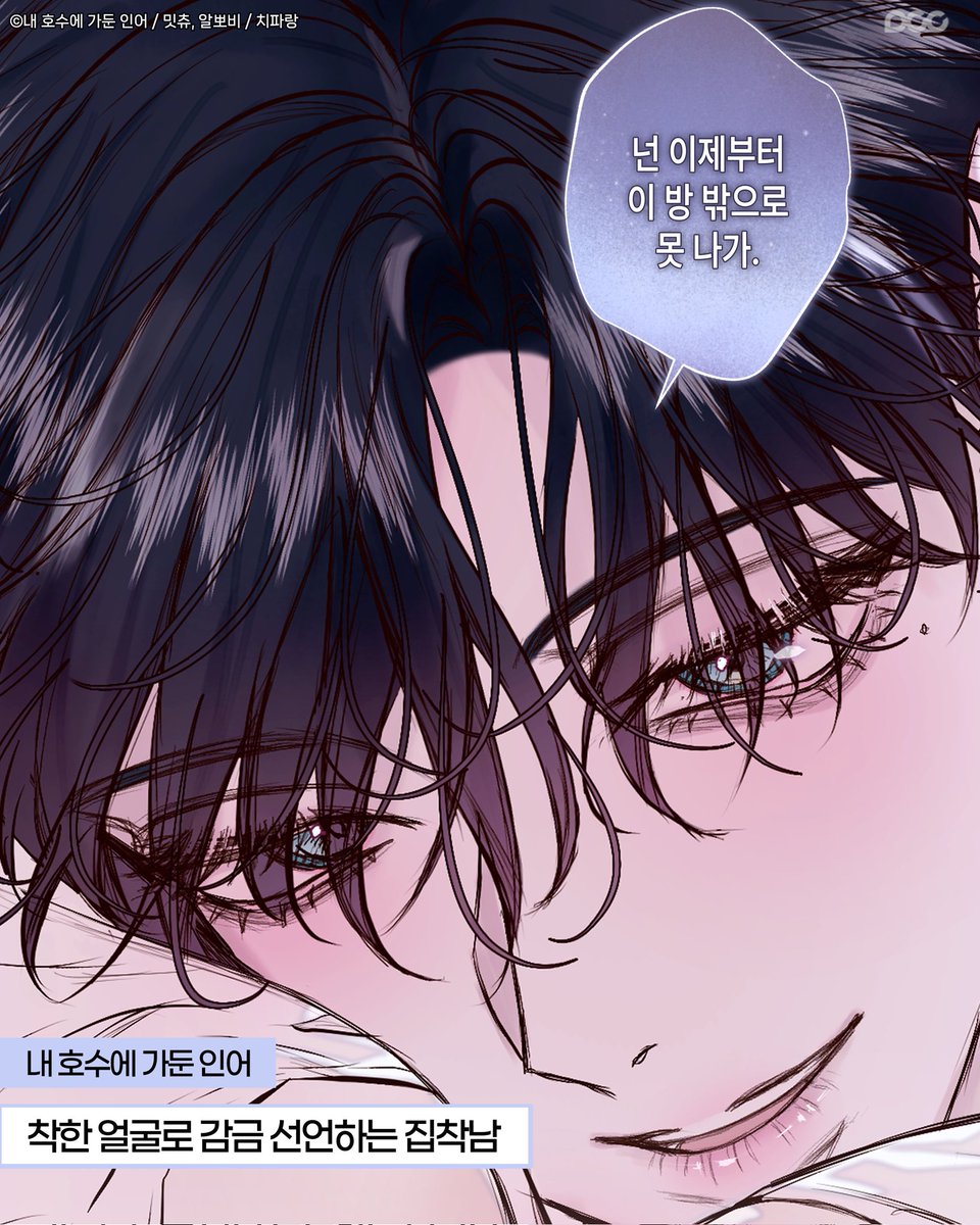 디씨씨이엔티 DCCENT tweet media
