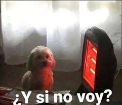 Memes UNA tweet media