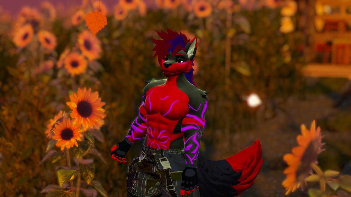 MarcoWoof3's tweet photo. Sometimes the quiet ones carry the brightest fire. https://t.co/L6aXYvVWmE