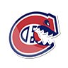 CdalesD's tweet photo. The only way they can beat Montreal in the playoffs is for the opposition to cheat with the refs on their side. Don’t tell me the NHL and Vegas aren’t fixing the games! https://t.co/ZViFS4985p