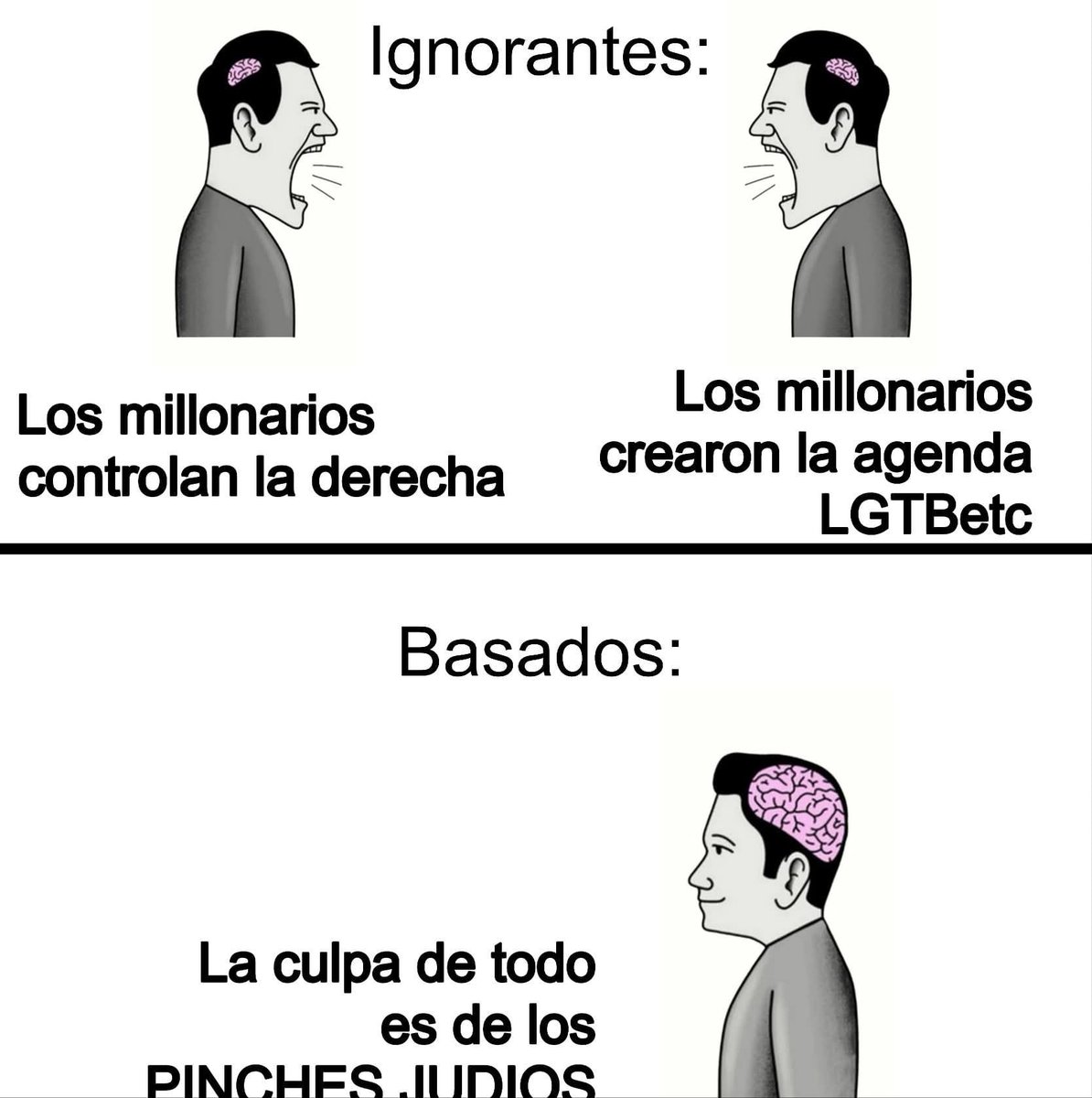 Gato de Soro$ tweet media