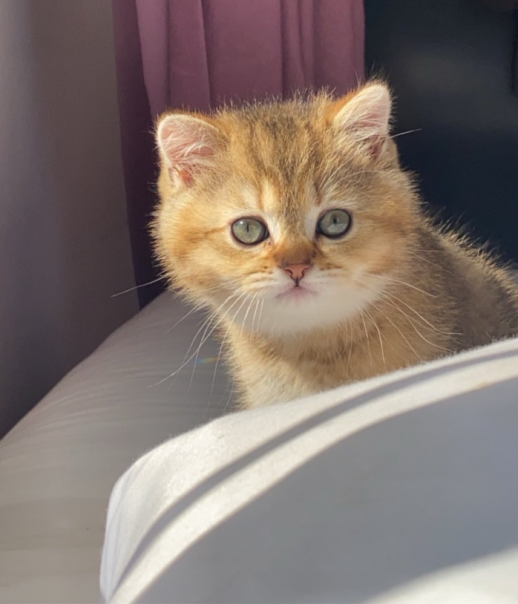 غِنى 🧸 tweet media