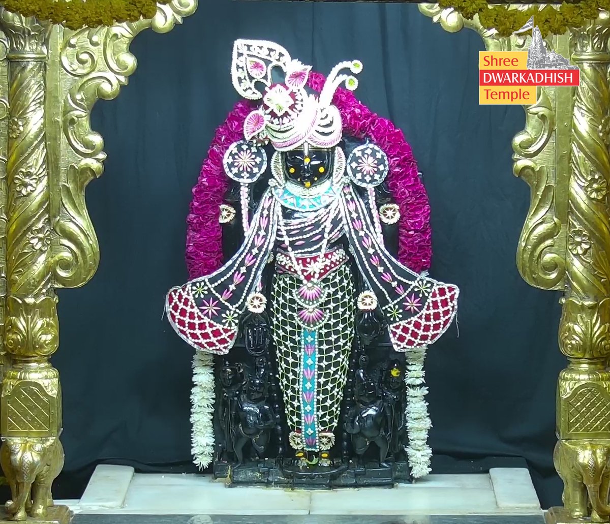 DwarkaOfficial's tweet photo. राजाधिराज द्वारकाधीश जी के मङ्गला आरती दर्शन 🙏🏻
श्री द्वारकाधीश मंदिर द्वारका,गुजरात
दिनांक :- 11/05/2026 सोमवार                                                      
                                             
#dwarka #manglaaarti
#ShridwarikadhishmandirOfficial https://t.co/XODN8lFPuC