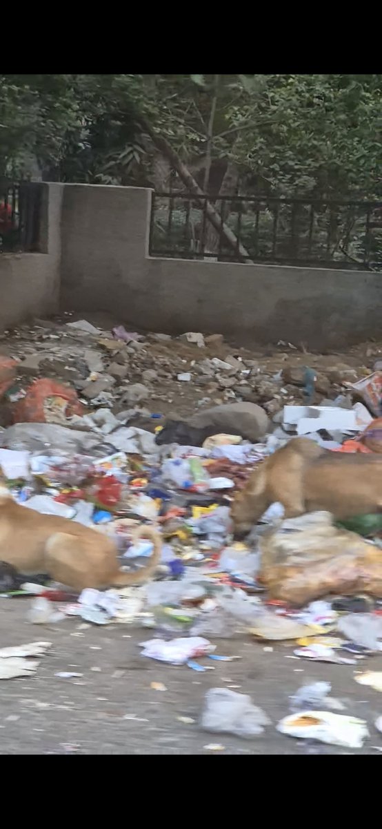 GURGAON = URBAN SLUM tweet media