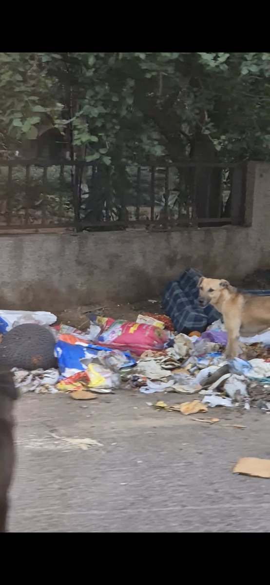 GURGAON = URBAN SLUM tweet media
