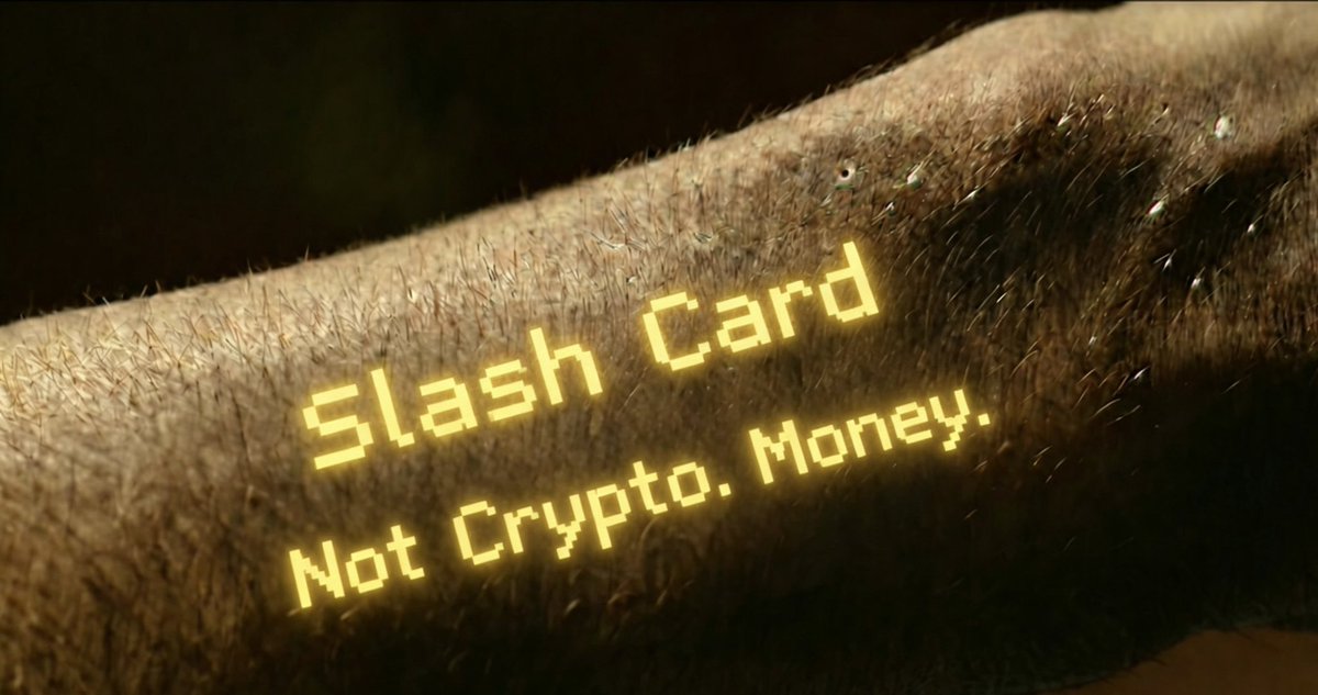 Slash Vision Labs tweet media