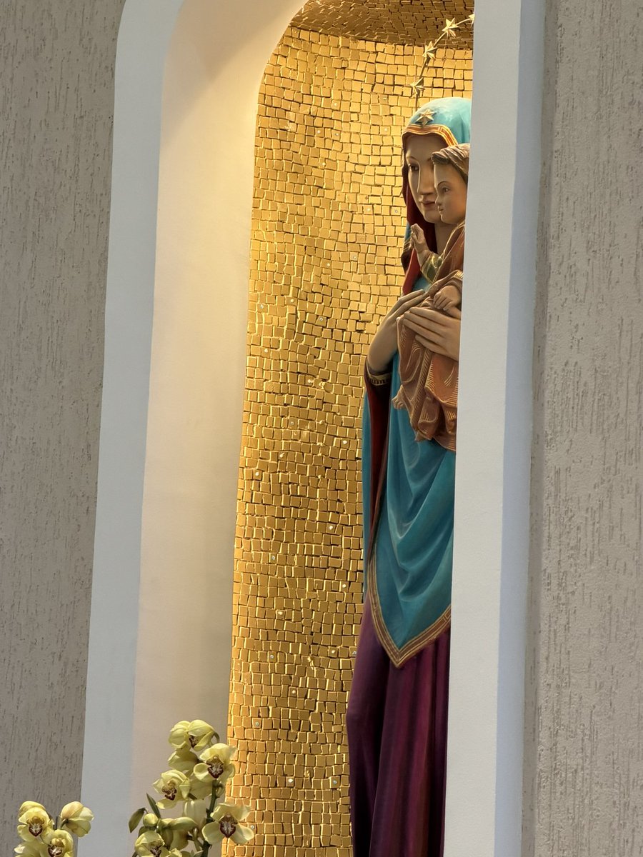 fabiotadeu's tweet photo. O Espírito Santo continua conduzindo a Igreja — Reflexões da Santa Missa das 9h

A Santa Missa das 9h deste 6º Domingo da Páscoa foi marcada por uma forte reflexão sobre a presença viva do Espírito Santo na caminhada da Igreja e na vida de cada cristão.

Logo no início da celebração, fomos convidados a recordar que Jesus não nos abandona. Pelo contrário: Ele promete permanecer conosco através do Espírito Santo, aquele que ilumina, fortalece, consola e conduz o povo de Deus mesmo em meio às dificuldades do tempo presente.

O Evangelho de São João trouxe palavras profundamente atuais:
“Não vos deixarei órfãos.”

Talvez uma das maiores dores do mundo moderno seja justamente a sensação de vazio, abandono e solidão. E é exatamente nesse contexto que Cristo continua falando ao coração humano:
“Eu permanecerei convosco.”

A homilia nos levou a refletir sobre o dinamismo missionário da Igreja desde os Atos dos Apóstolos. Felipe evangeliza, cura, anuncia Jesus e leva esperança ao povo da Samaria. Mas ele não caminha sozinho. A Igreja nasce em comunhão, sustentada pelo Espírito Santo e pela missão compartilhada.

Foi muito forte perceber como esse mesmo Espírito continua agindo hoje.

A Igreja atravessa os séculos, enfrenta crises, mudanças, desafios e novos tempos, mas permanece viva porque o Espírito Santo continua conduzindo o povo de Deus.

Também fomos chamados a pensar sobre algo muito importante:
ser cristão não é apenas dizer que acredita em Deus, mas testemunhar isso através da vida.

O próprio Evangelho deixa claro:
“Quem me ama guardará a minha palavra.”

Ou seja, a fé precisa aparecer nas atitudes, no amor, na misericórdia, na paciência, na fidelidade e na maneira como tratamos as pessoas.

Outro momento emocionante da celebração foi a homenagem às mães neste Dia das Mães. A comunidade rezou pelas mães vivas, pelas que sofrem por seus filhos e também por aquelas que já partiram para a eternidade.

Foi impossível não perceber como o amor materno se aproxima do próprio cuidado de Deus:
um amor silencioso, constante, protetor e cheio de entrega.

A Santa Missa das 9h terminou deixando uma mensagem muito clara:
Cristo Ressuscitado continua presente.

Ele está na Eucaristia.
Está na Palavra.
Está na comunidade reunida.
Está no amor vivido.
Está na esperança que insiste em permanecer mesmo em tempos difíceis.

E enquanto o Espírito Santo continuar sendo acolhido em nossos corações, a Igreja continuará viva, missionária e cheia da presença de Deus.

📻 Ouça o episódio completo da Santa Missa das 9h no CRUX SACRA:
👉 https://t.co/0f2cJPIOD3

✝️ Cristo venceu! Aleluia!
Ressuscitou! Aleluia!

Fabio Tadeu Rocchi
Fundador, Tecladista e Voz do Ministério de Música Crux Sacra.