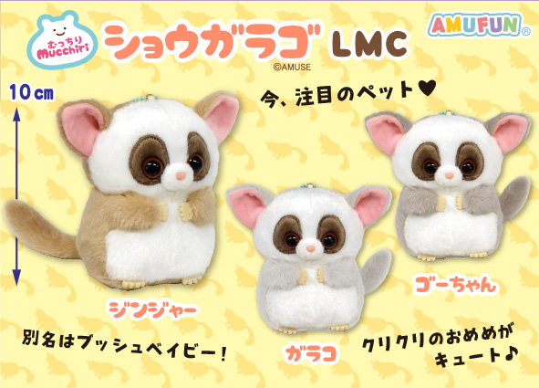 AMUSE_japan's tweet photo. ≪5月の新商品≫
★むっちりショウガラゴ★

SNSやエキゾチックアニマルカフェなどでも
話題のショウガラゴ🌿
別名『ブッシュベイビー』がむっちり
まるっこいぬいぐるみになりました♪
まんまるお目目と大きい耳がチャームポイントです⭐

詳しくはHPにて！
#AMUFUN #AMUSE新商品
#むっちりシリーズ https://t.co/kTqrNs0sYD
