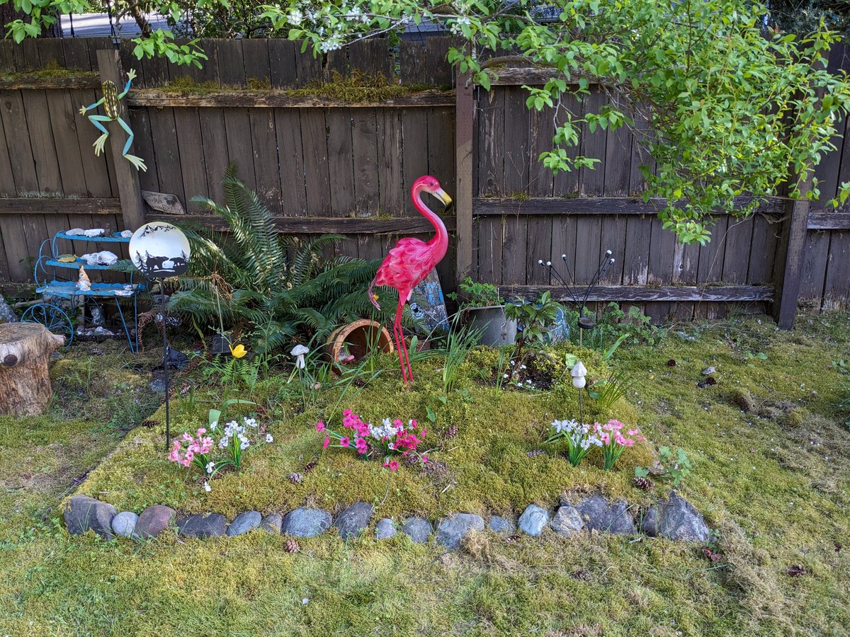 odiesislandlife's tweet photo. I got a new flamingo to go with my flock lol it's GIGANTIC my mom lugged it all the way back from California 😂😍 🦩#flamingos #yardart https://t.co/e8omTAXvly