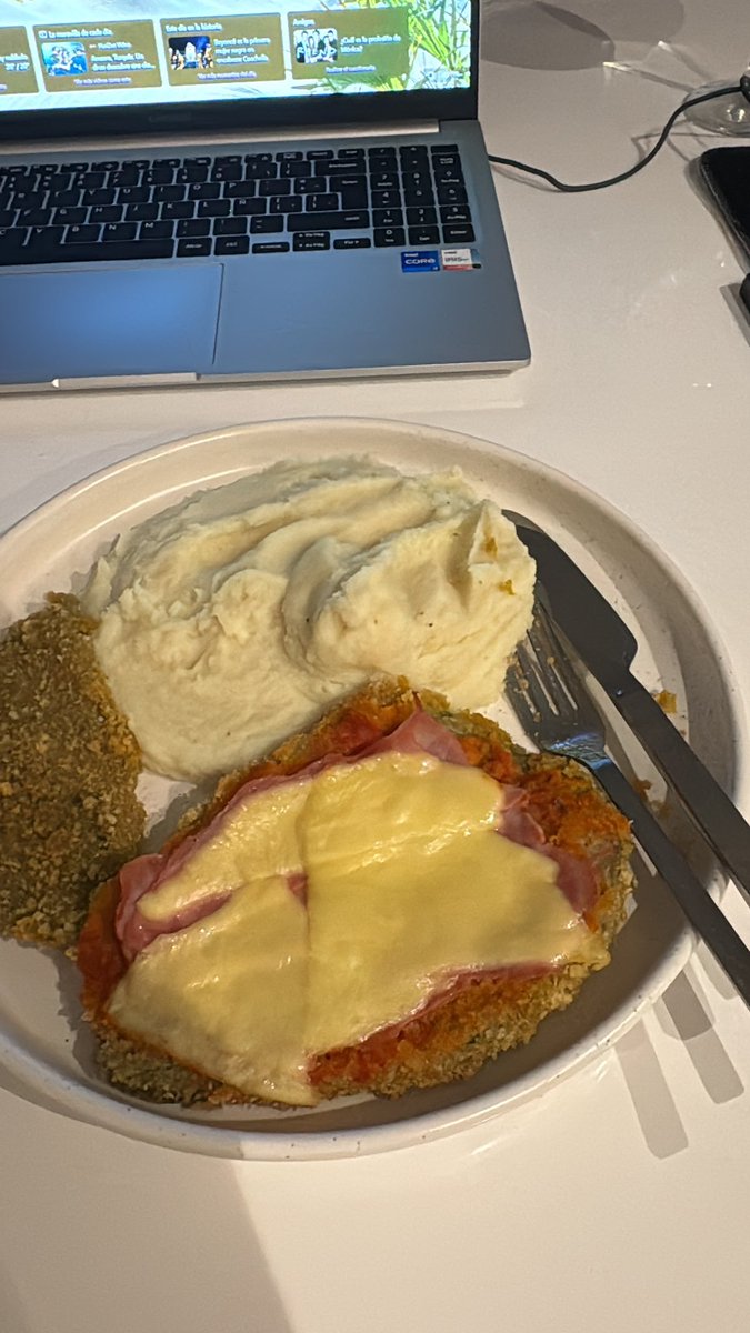 The Milanesa Every Day. tweet media