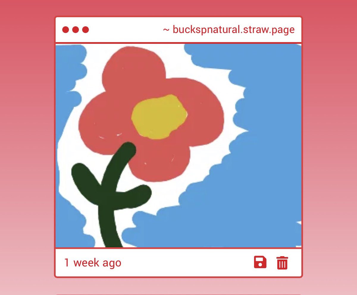 omg 🌸