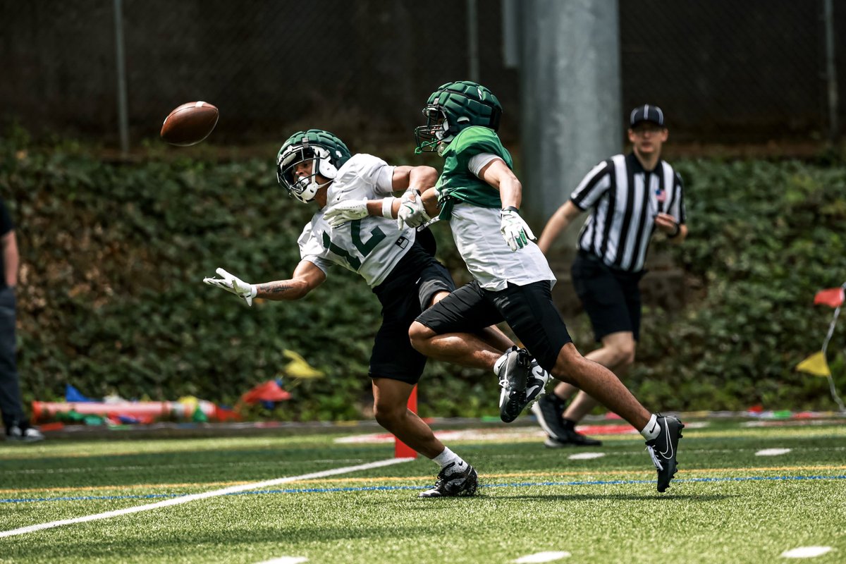 Theo_Thompson14's tweet photo. Spring Ball 💪 #GoViks https://t.co/nnpmScBbF2