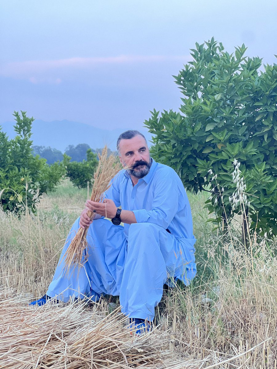 Rais Ahmadzai tweet media