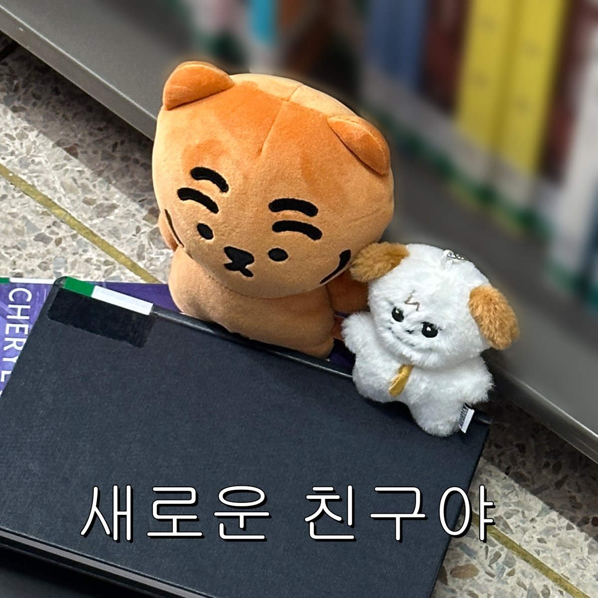제빵사가 된 보라알 (상태 : 팝업 준비 중) tweet media