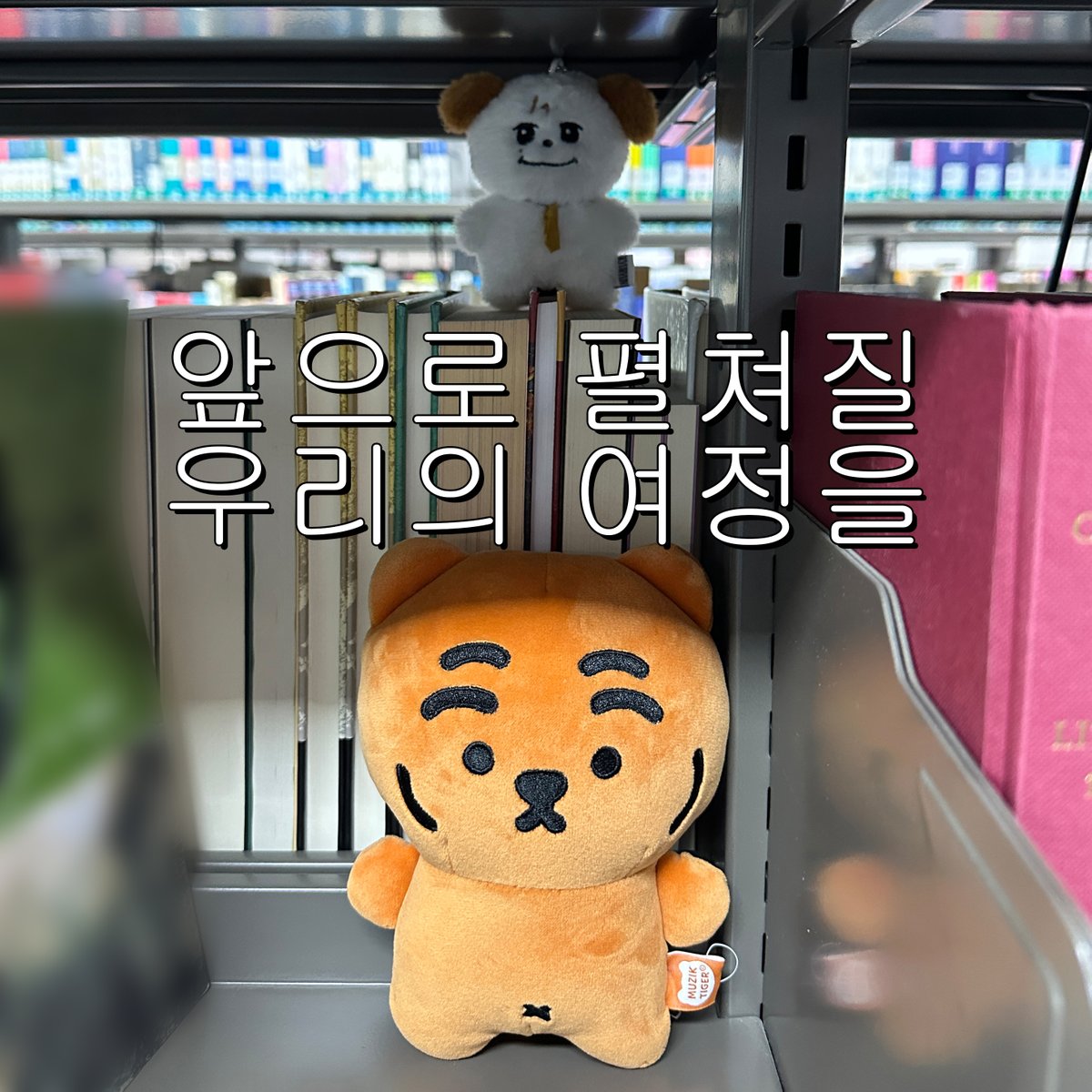 제빵사가 된 보라알 (상태 : 팝업 준비 중) tweet media