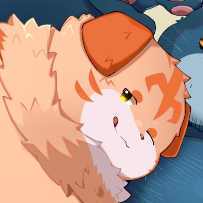 🐾️Haru(春陽)🐱 (@harukemo) / Posts / X